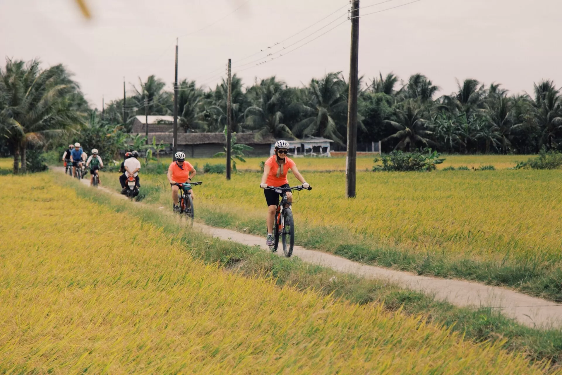 13-Day Vietnam E-bike & Gravel Adventure: Saigon to Hue Cycling Odyssey